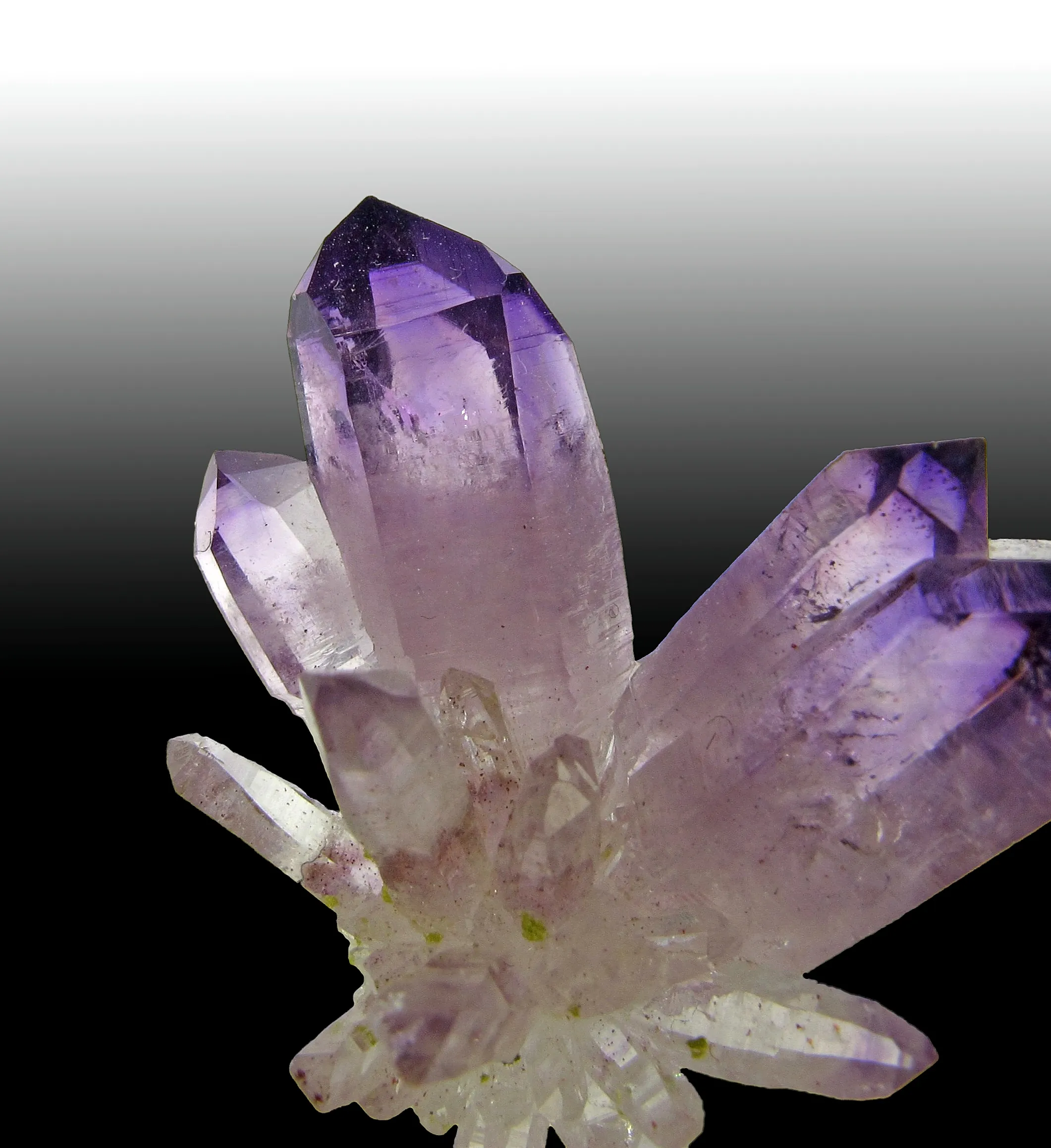 Amethyst with Epidote - image 2