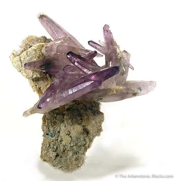 Amethyst With Huge Crystals For Locality! image