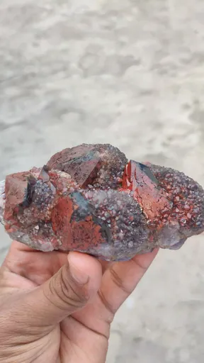 specimen video