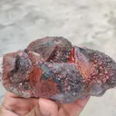 specimen video