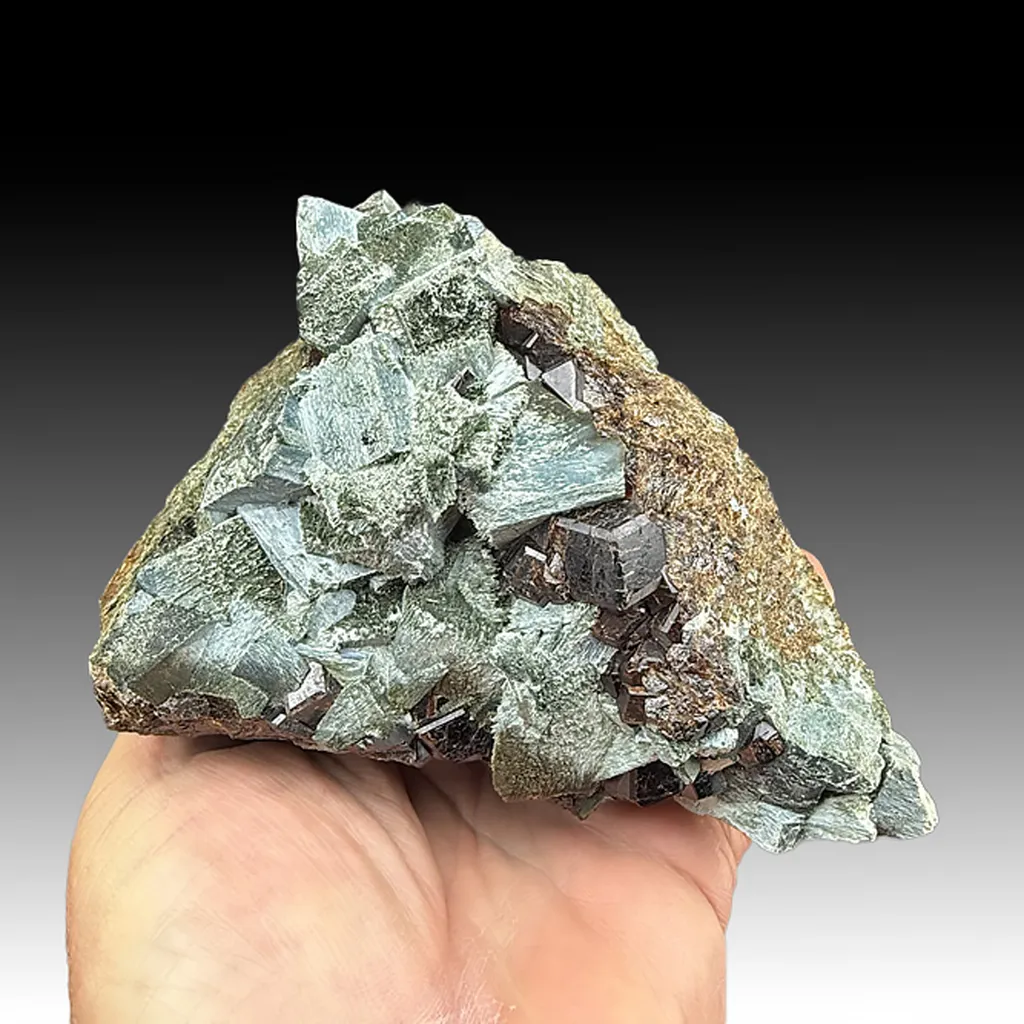 Amphibole after Clinopyroxene with Andradite image