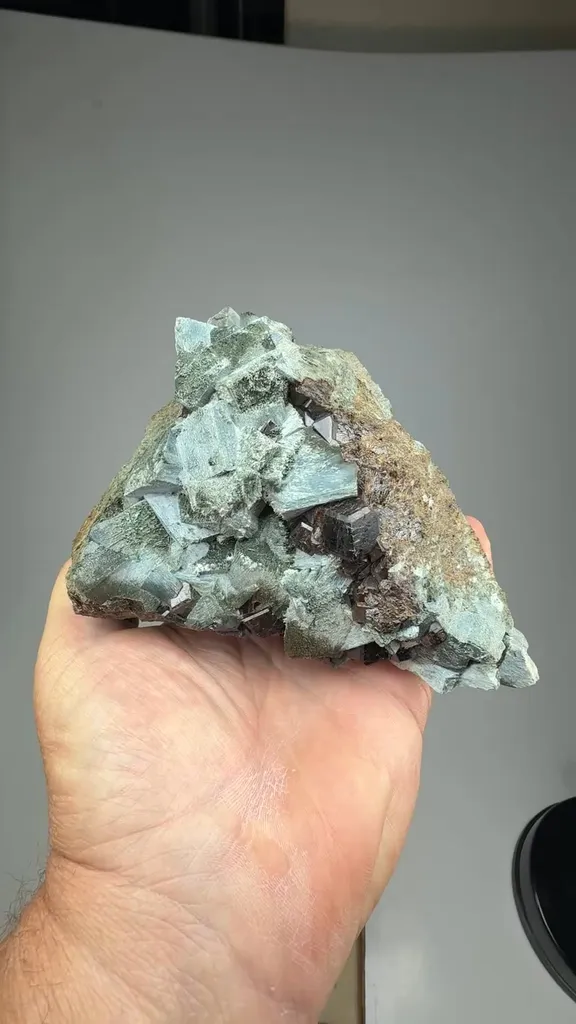 Amphibole after Clinopyroxene with Andradite - image 2