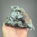 Amphibole after Clinopyroxene with Andradite - image 2