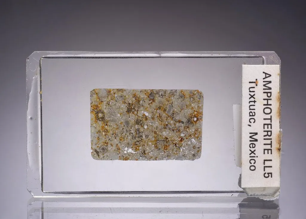 Amphoterite - Meteorite Polished Section