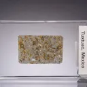 Amphoterite - Meteorite Polished Section - image 1