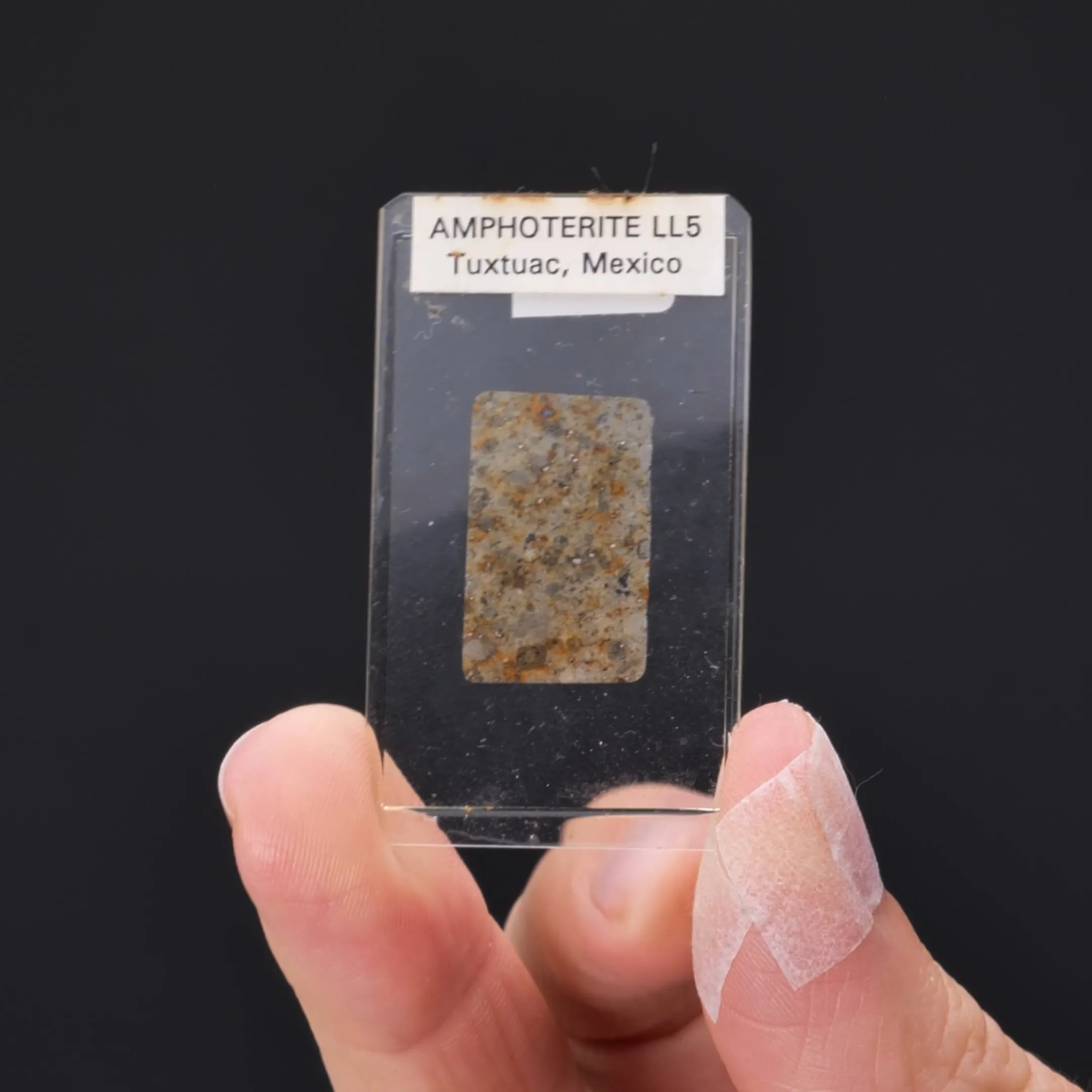 Amphoterite - Meteorite Polished Section - image 2