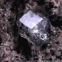 Analcime (Type Locality) with Magnetite - image 1