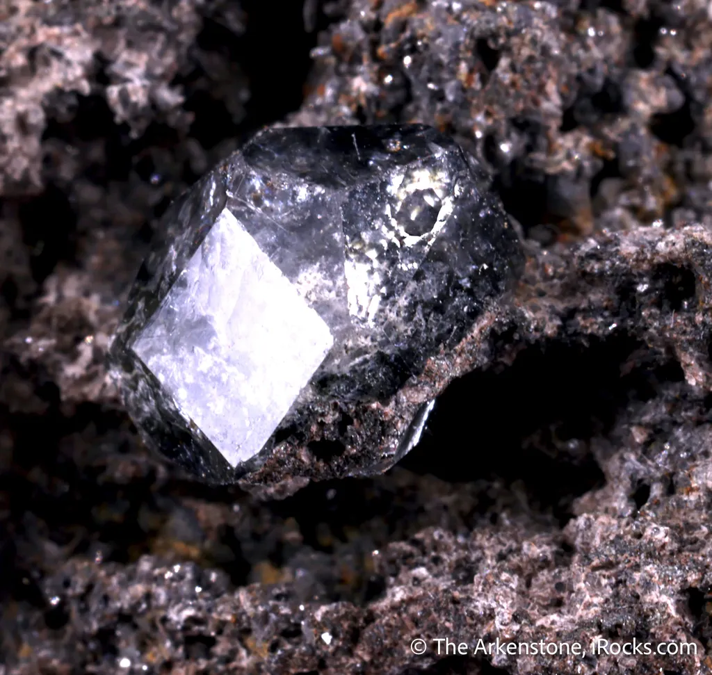 Analcime (Type Locality) with Magnetite - image 5