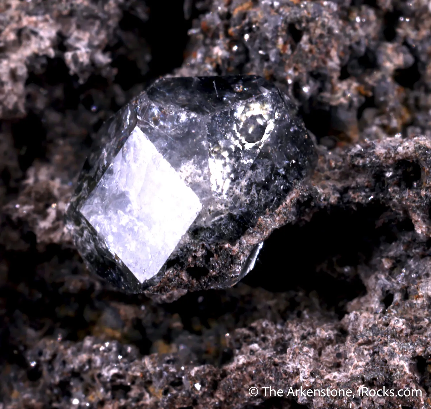 Analcime (Type Locality) with Magnetite - image 5