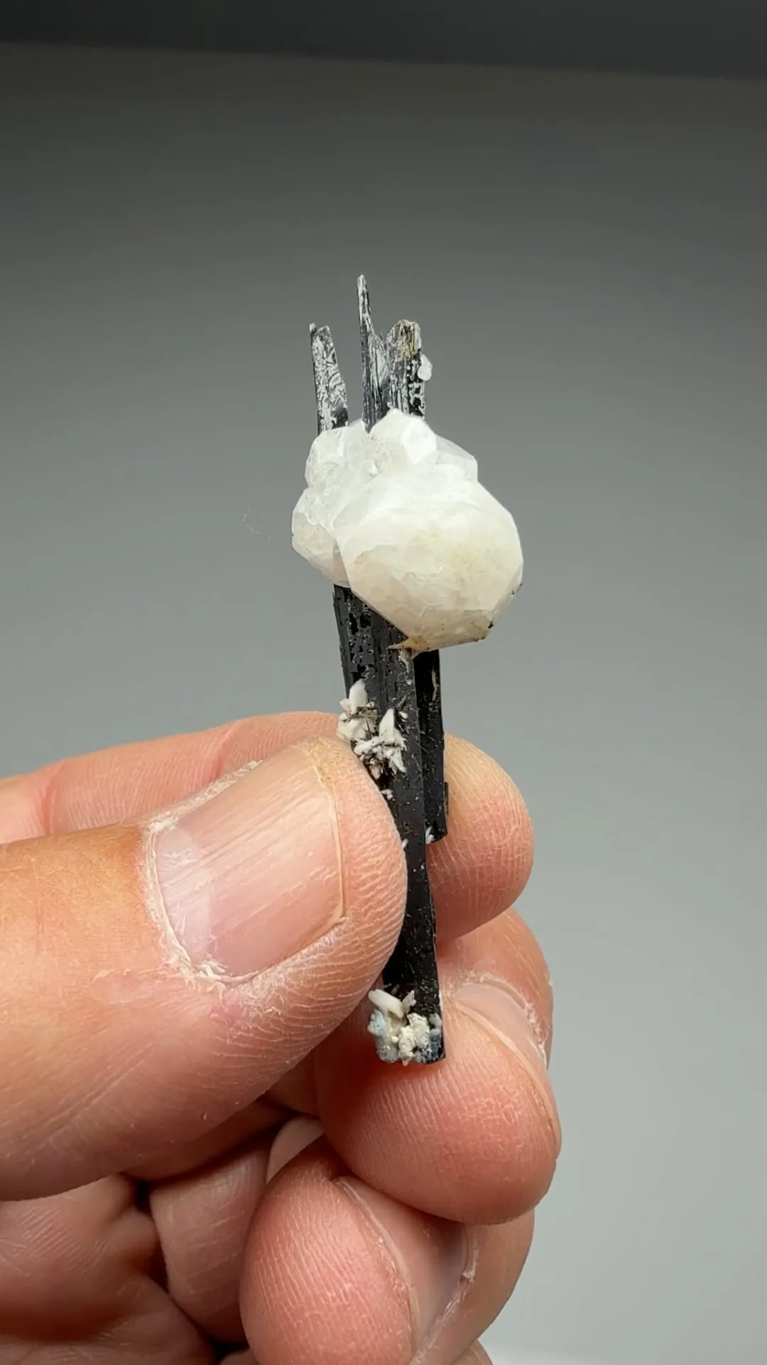 Analcime with Aegirine - image 2