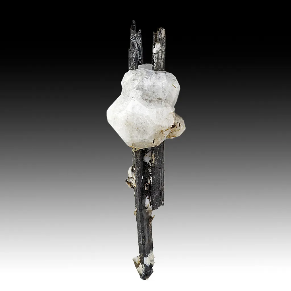 Analcime with Aegirine image