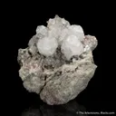 Analcime with Apophyllite - image 4