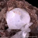Analcime with Chabazite-(Ca), Mesolite, Calcite & Heulandite - image 3