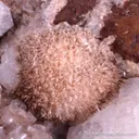 Analcime with Chabazite-(Ca), Mesolite, Calcite & Heulandite - image 4