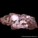 Analcime with Chabazite-(Ca), Mesolite, Calcite & Heulandite - image 6