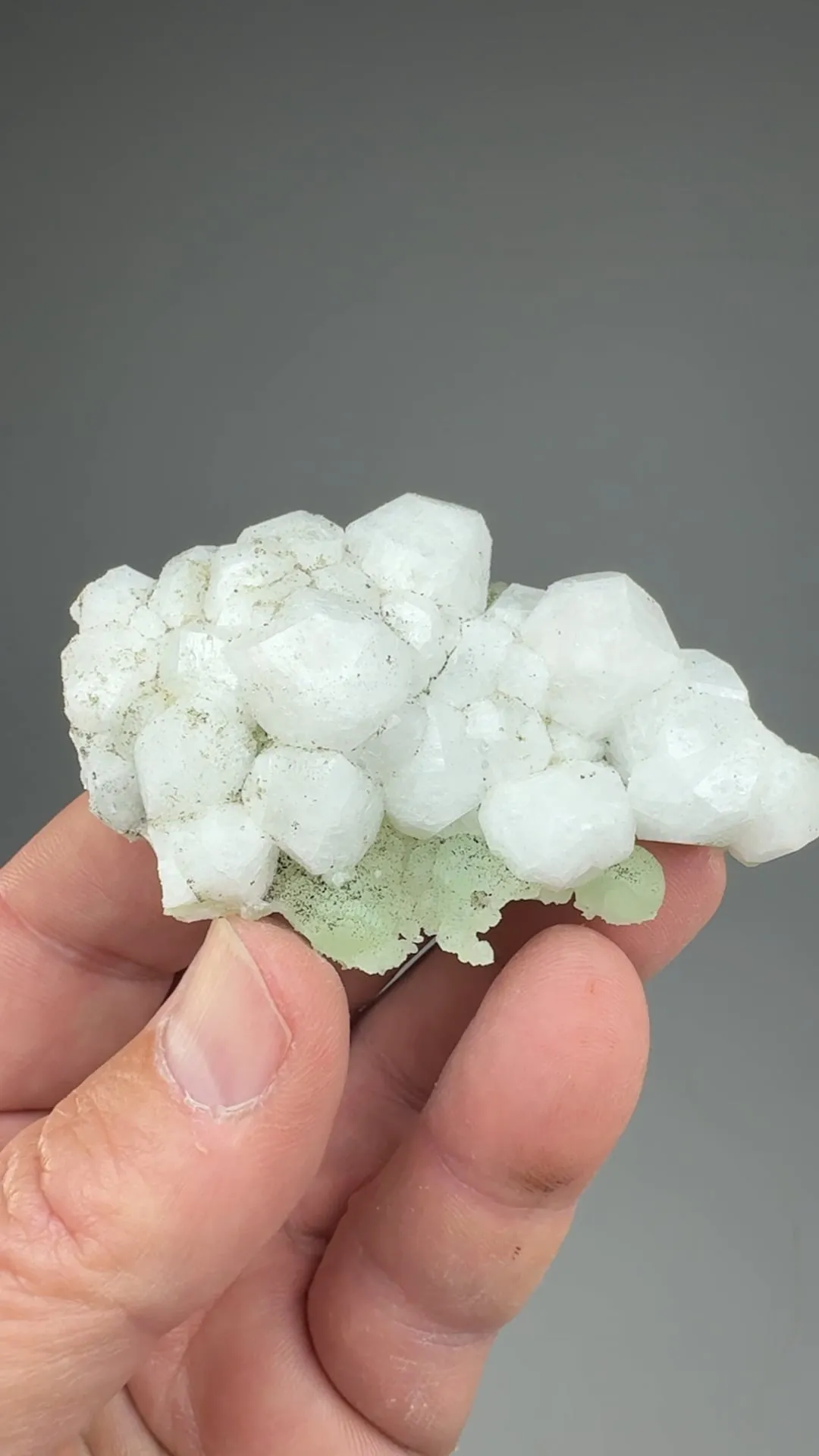 Analcime with Prehnite - image 2