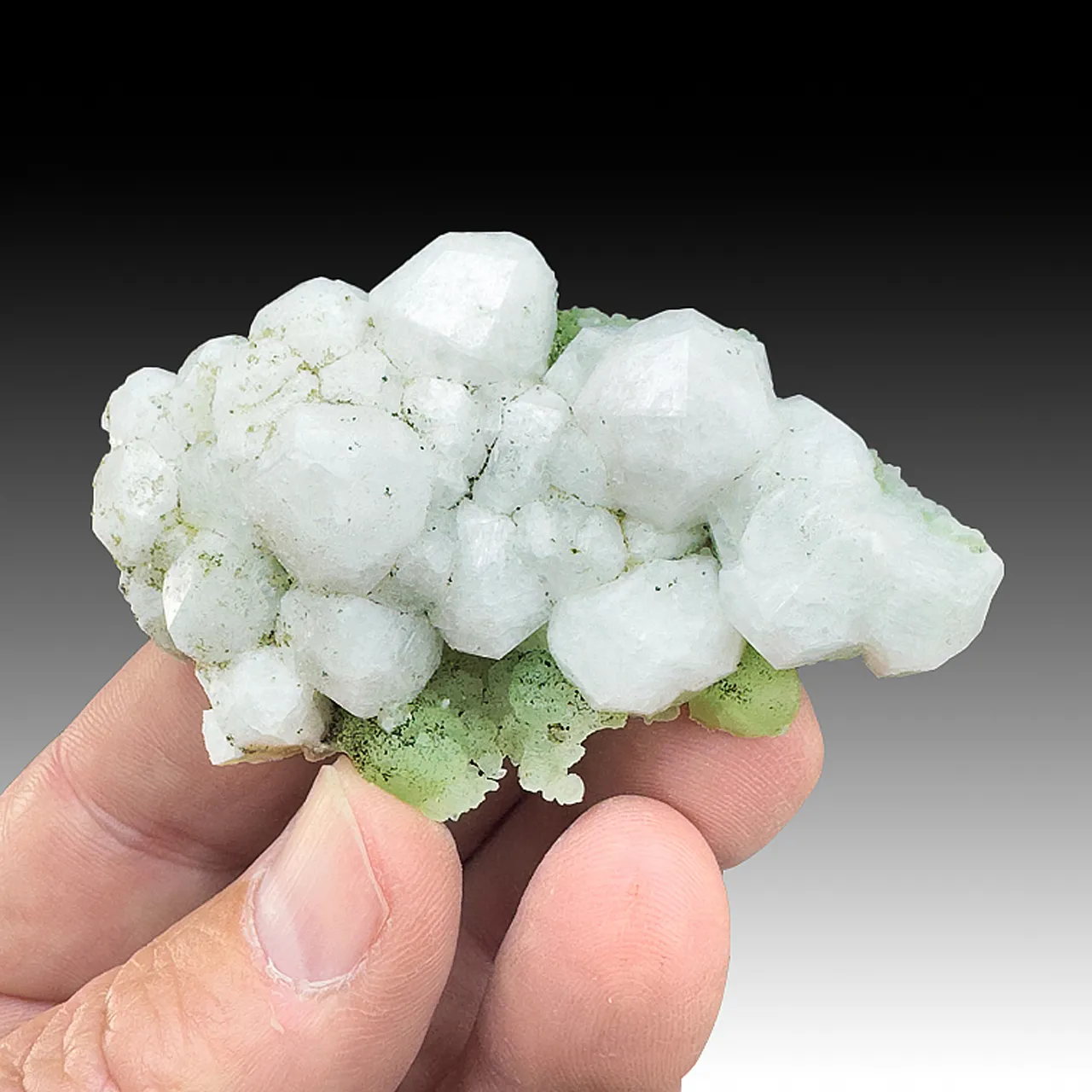 Analcime with Prehnite - image 1