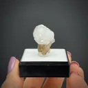 Analcime with Stilbite - image 2