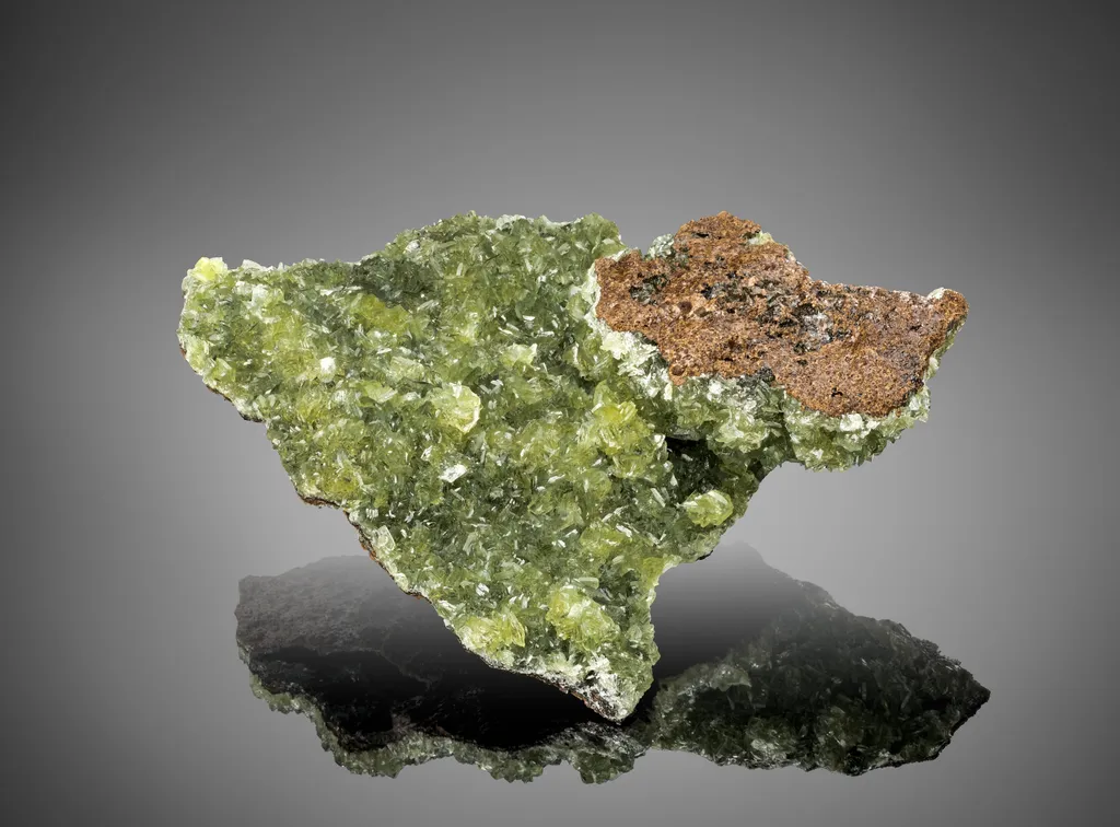 Anapaite on Fossilized Tree Bark - image 2