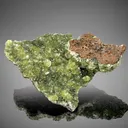 Anapaite on Fossilized Tree Bark - image 2