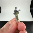 specimen video