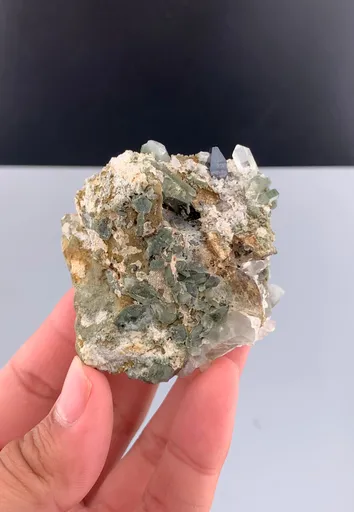 specimen video