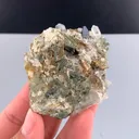 specimen video