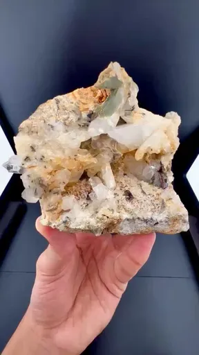 specimen video
