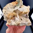 specimen video