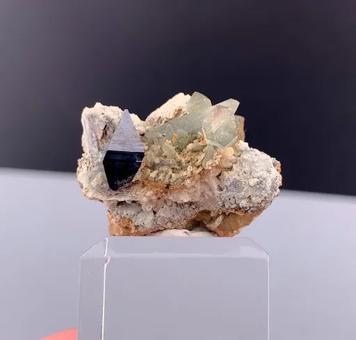 specimen video