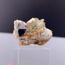 specimen video