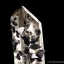Anatase on Quartz - image 5