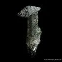 Anatase on Smoky Quartz - image 4