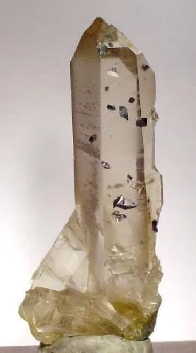 Anatase, Quartz (Var: Smoky Quartz) image