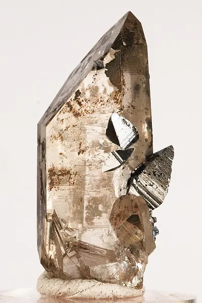Anatase, Quartz (Var: Smoky Quartz) image