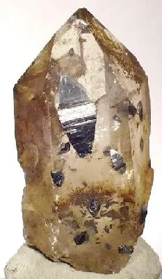 Anatase, Quartz (Var: Smoky Quartz) image