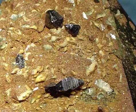 Anatase, Quartz (Var: Smoky Quartz) - image 2