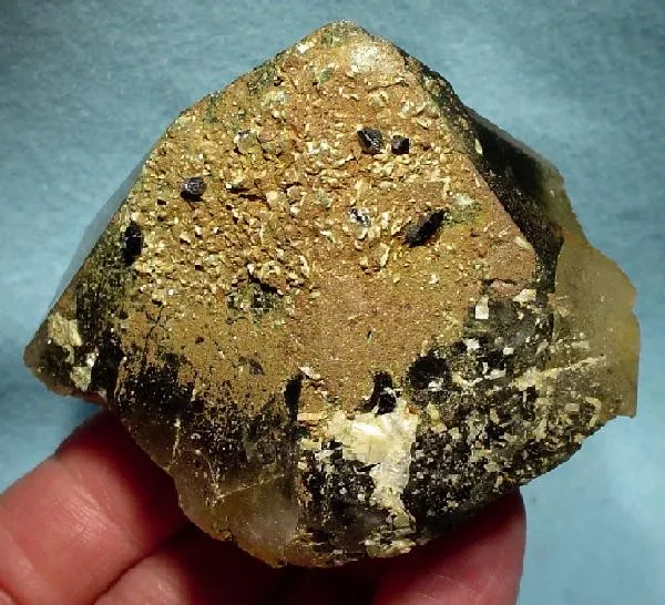 Anatase, Quartz (Var: Smoky Quartz) image