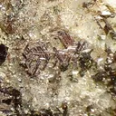 Anatase, Sagenite, Quartz - image 3