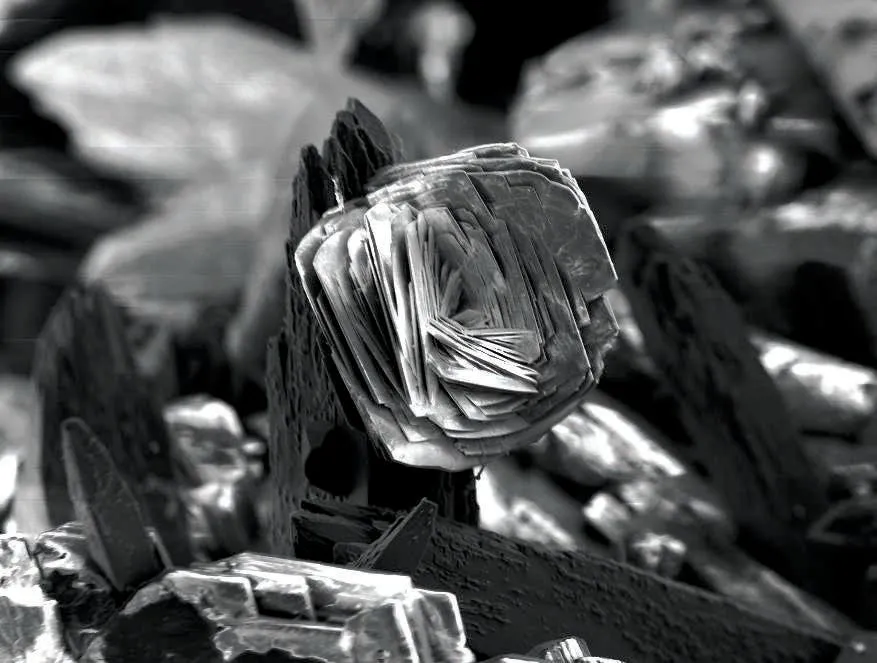 Ancylite-(Ce) on Aegirine - image 1