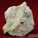 Ancylite-(Ce)on Dolomite with Fluorapatite, Magnetite, Phlogopite, and Pyrite - image 3