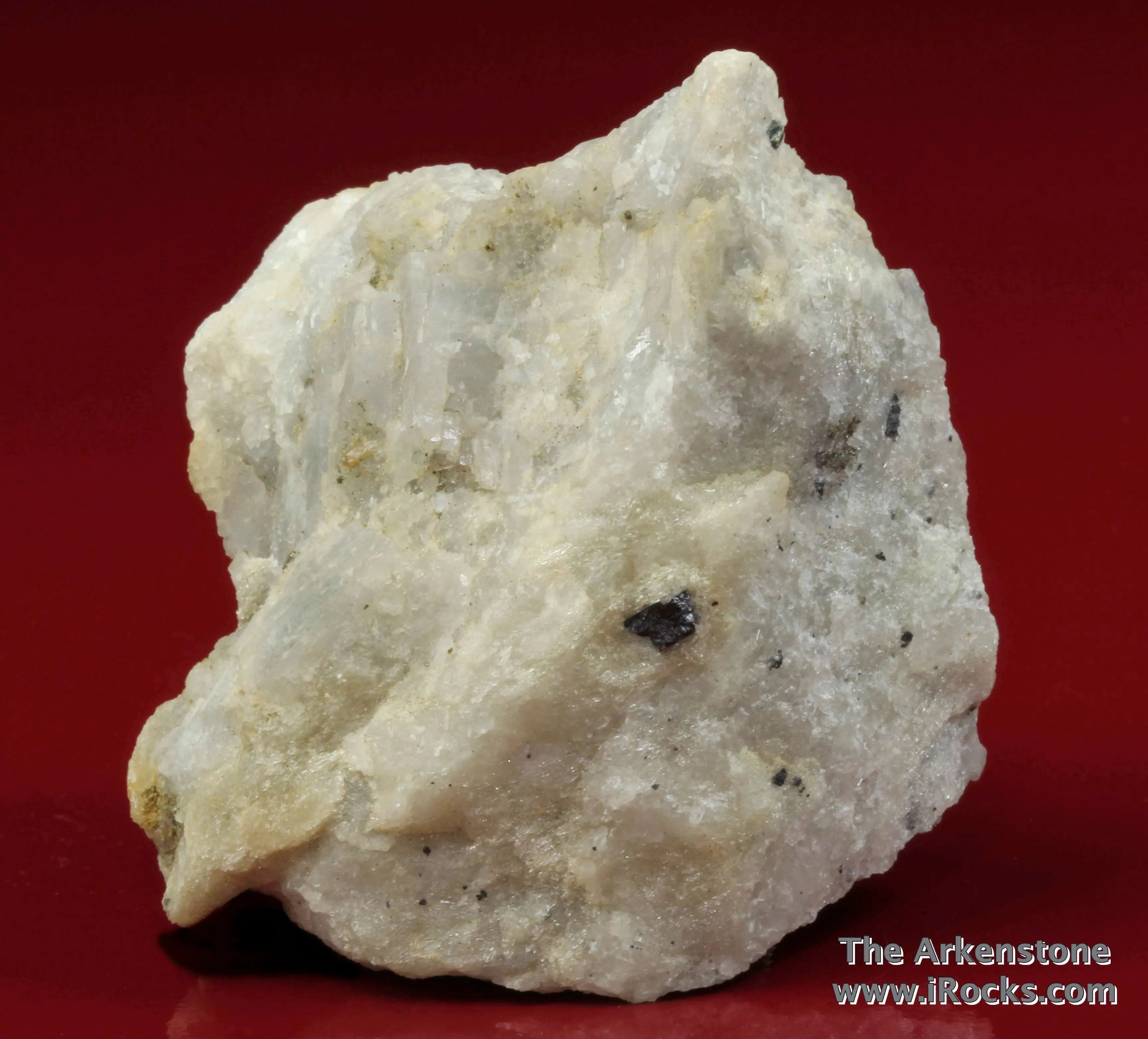 Ancylite-(Ce)on Dolomite with Fluorapatite, Magnetite, Phlogopite, and Pyrite - image 3