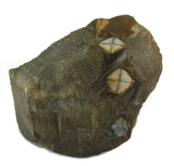 Andalusite, Andalusite (Var: Chiastolite) image