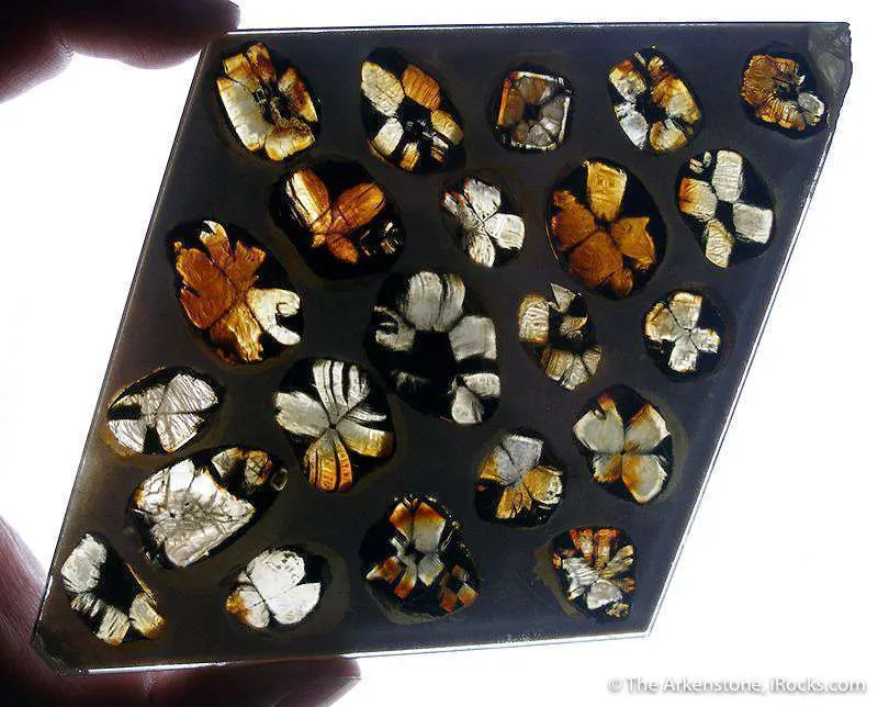 Andalusite Var. Chiastolite (Reference Set Of Thin Sections) - image 2
