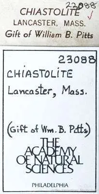 Andalusite Var. Chiastolite (Reference Set Of Thin Sections) - image 4