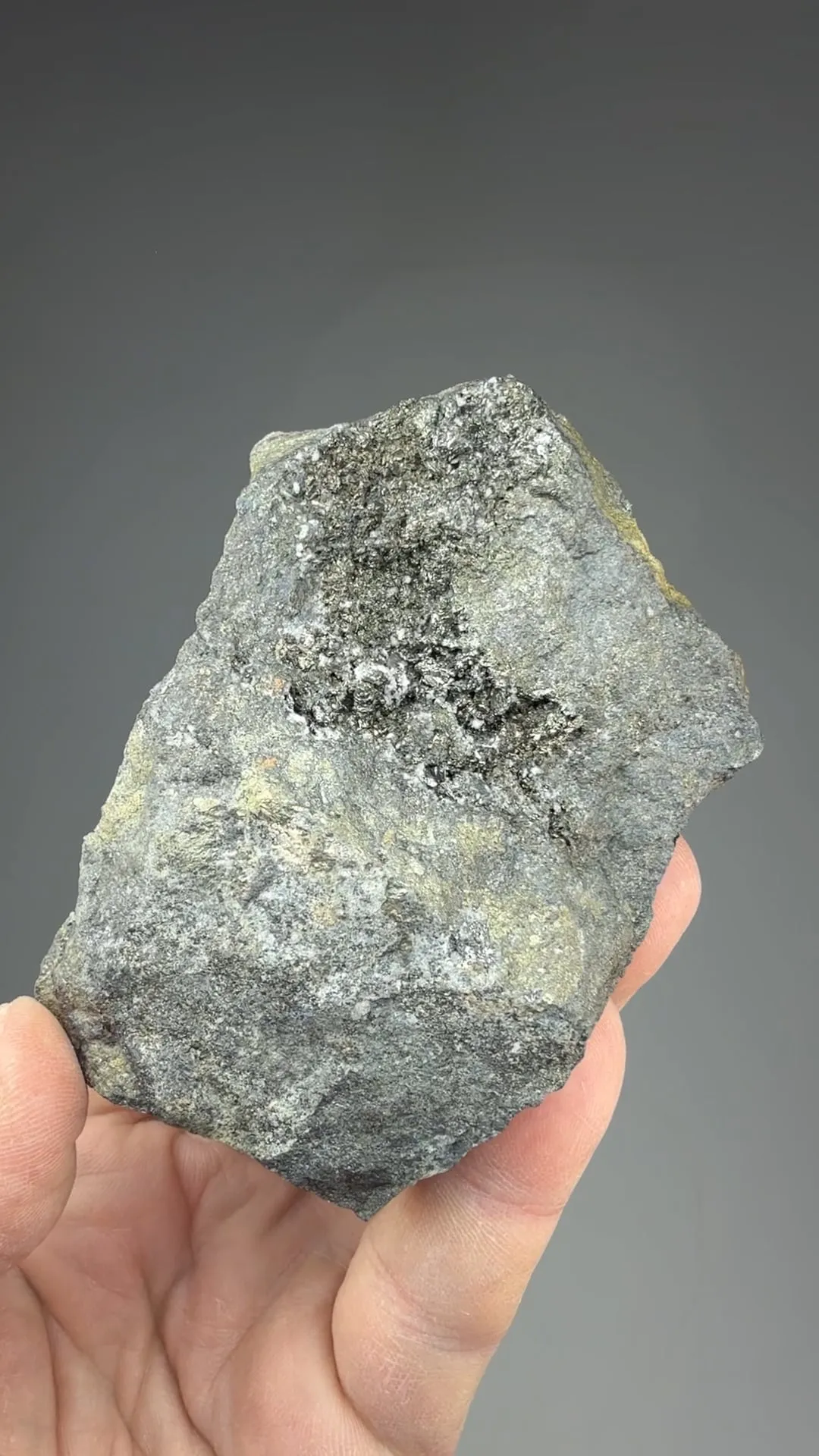 Andorite with Freibergite, Stannite (collected 1850) - image 3