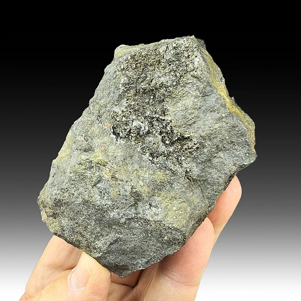 Andorite with Freibergite, Stannite (collected 1850) - image 2