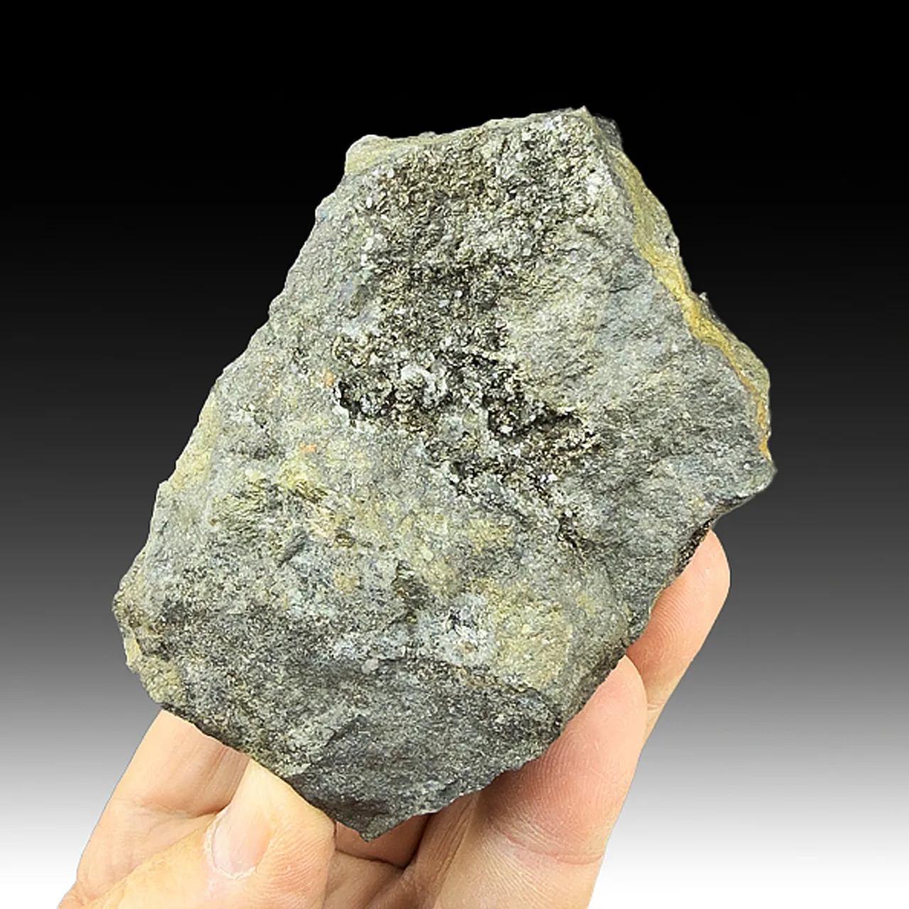 Andorite with Freibergite, Stannite (collected 1850) - image 2