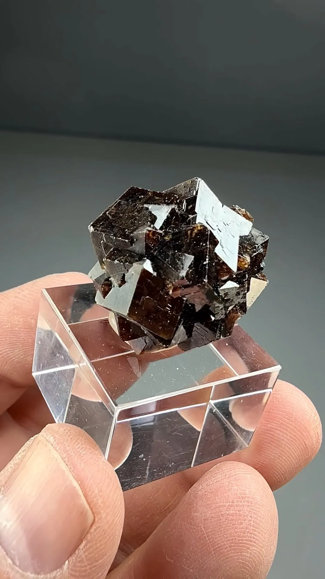 Andradite (2307) - image 2