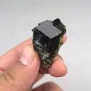 specimen video